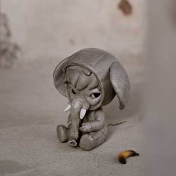 Elephant In The Room Series