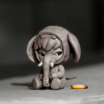 Elephant In The Room Series
