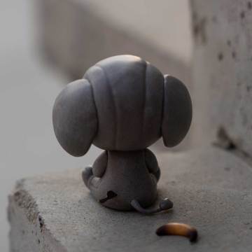 Elephant In The Room Series